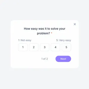 Customer Effort Score (CES)