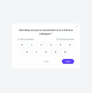 Net Promoter Score (NPS)